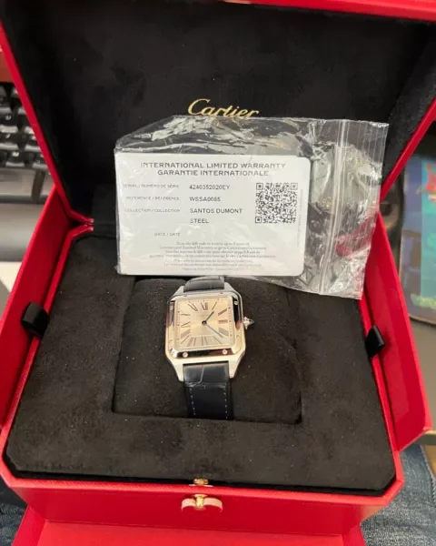 Montre cartier santos 31,5 mm wssa0085 dumont en acier inoxydable d’occasion